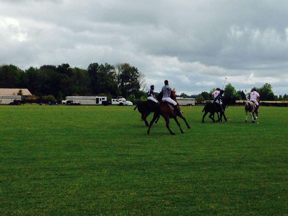 “Polo on the Prairie” to benefit HD, September 19, 2015…A Huge Success